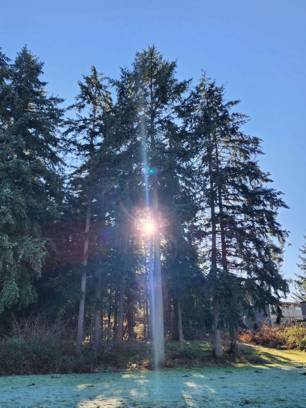 Unveiling the Self: My Journey to Understanding Through&nbsp;MBTI